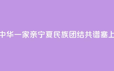 【铸牢共同体 中华一家亲】宁夏：民族团结 共谱塞上江南新篇章  第1张