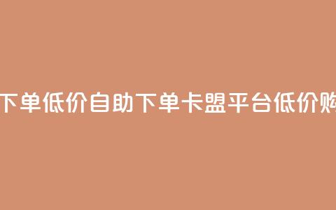 卡盟平台自助下单低价 - 自助下单：卡盟平台低价购买指南~  第1张