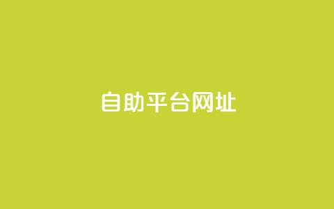 自助平台网址,游戏卡盟24小时自动发卡平台 - QQ人气访客 qq会员业务网站  第1张