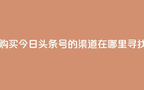 购买今日头条号的渠道在哪里寻找  第1张
