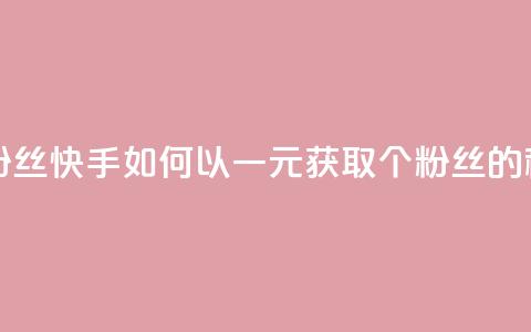 快手涨粉1元100个粉丝 - 快手如何以一元获取100个粉丝的秘笈揭秘~  第1张