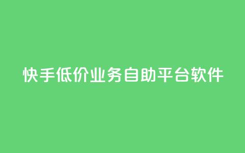 快手低价业务自助平台软件 - 快手推出低价自助平台软件助力业务发展！  第1张