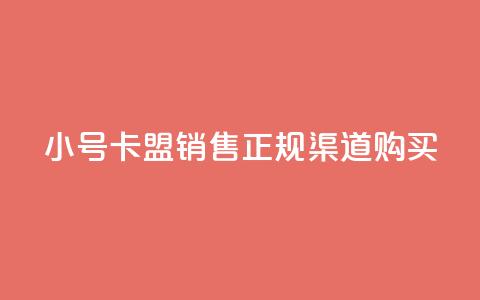 QQ小号卡盟销售，正规渠道购买  第1张