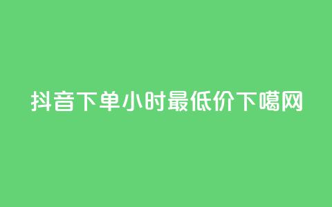 抖音下单24小时最低价  第1张