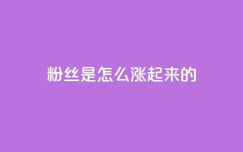 粉丝是怎么涨起来的,免费领取5000点券王者荣耀 - 拼多多帮砍助力软件 小程序刷好友助力软件  第1张
