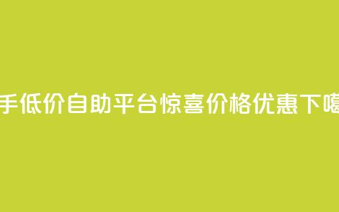 快手低价自助平台惊喜价格优惠  第1张