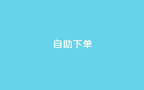 自助下单dy,dy24小时自助下单软件 - NAP6科技网怎么打开 24h自助下单彩虹云商城  第1张
