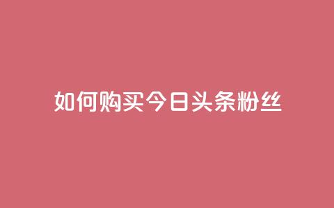 如何购买今日头条粉丝  第1张