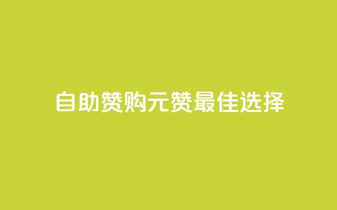 自助赞购：1元100赞最佳选择  第1张