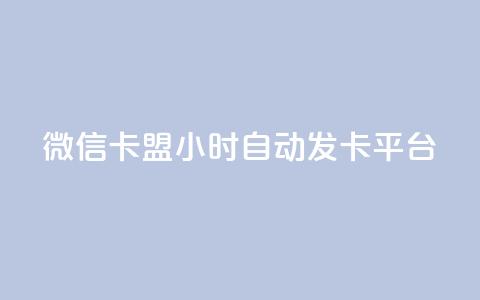 微信卡盟24小时自动发卡平台,云小店24小时下单平台 - 拼多多自动下单脚本 拼多多砍一刀代砍  第1张