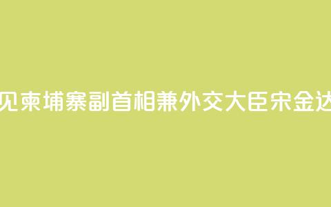 王毅会见柬埔寨副首相兼外交大臣宋金达  第1张
