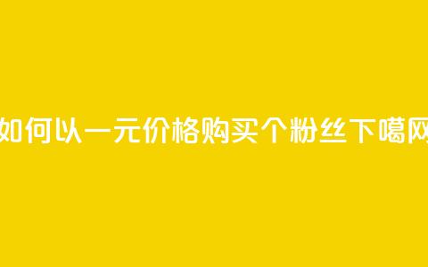 如何以一元价格购买3000个粉丝  第1张