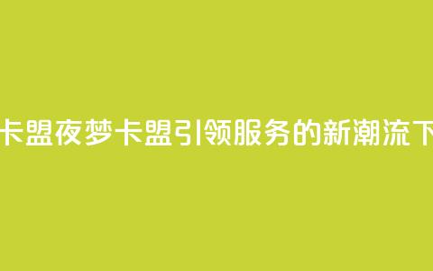 夜梦卡盟 - 夜梦卡盟：引领SEO服务的新潮流~  第1张