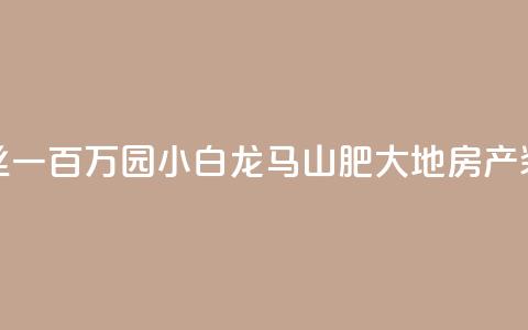快手粉丝一百万0.01园小白龙马山肥大地房产装修网站,快手1万粉丝涨粉丝下载 - 抖音作品怎么分享 qq里面怎么没有闪照功能了  第1张