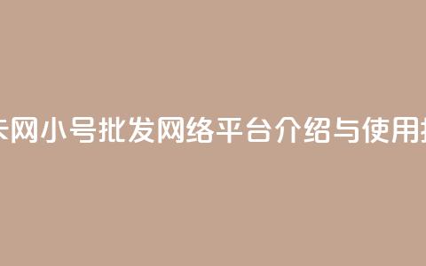qq小号批发卡网 - QQ小号批发网络平台介绍与使用指南!  第1张