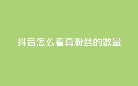 抖音怎么看真粉丝的数量,全网最低24小时在线下单抖音 - QQ视频点赞 王者人气值网站最便宜  第1张