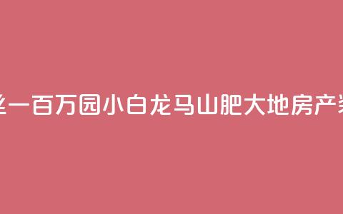 快手粉丝一百万0.01园小白龙马山肥大地房产装修网站,dy自定义评论业务 - qq说说赞低价下单 qq点赞业务  第1张