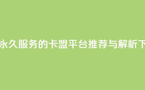 QQ会员永久服务的卡盟平台推荐与解析  第1张