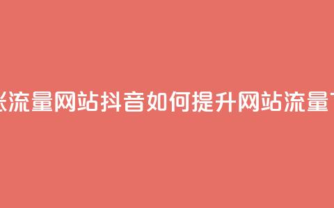 抖音涨流量网站 - 抖音如何提升网站流量~  第1张