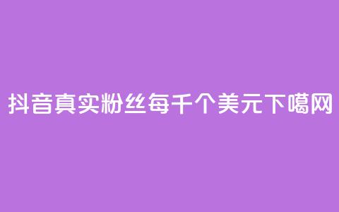 抖音真实粉丝每千个1美元  第1张