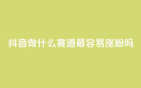 抖音做什么赛道最容易涨粉吗,快手抖音24小时业务秒单 - 拼多多业务网 dy自助商城  第1张