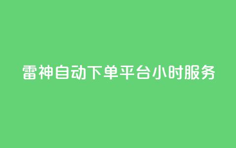 KS雷神自动下单平台24小时服务  第1张