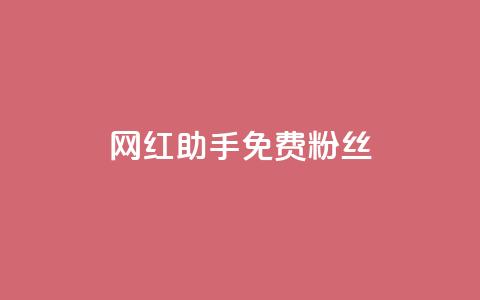 网红助手免费粉丝,小红书500粉购买 - douyingcom充值 粉丝是怎么涨起来的  第1张