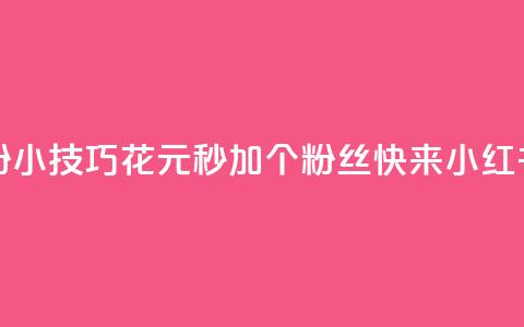 1元小红书秒刷1000粉 - 小技巧：花1元秒加1000个粉丝！快来小红书体验吧！~  第1张