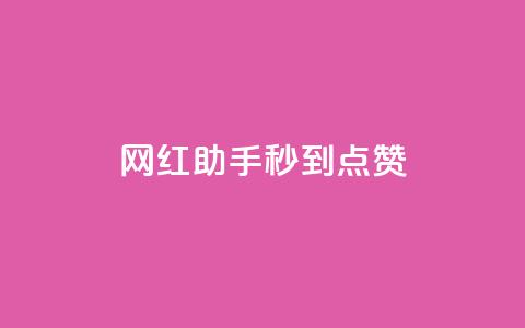 网红助手秒到点赞,梓豪网络24小时秒单业务平台 - 王者荣耀人气点赞购买平台 抖音涨粉可以花钱买吗  第1张