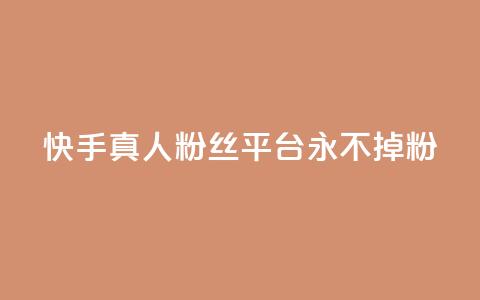 快手真人粉丝平台 永不掉粉,粉丝商城 - dy免费24小时下单网站最新版 抖音评论业务下单24小时  第1张