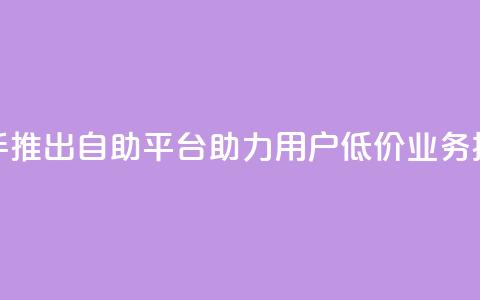 快手推出自助平台 助力用户低价业务操作  第1张