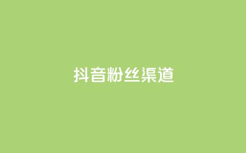 抖音粉丝渠道 - 抖音粉丝获取的途径有哪些？~  第1张