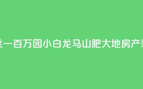 快手粉丝一百万0.01园小白龙马山肥大地房产装修网站,快手买热度网站 - 0.01元,小白龙马山有限责任公司 刷钻卡盟网站官方入口 抖音快手点赞粉丝的网站  第1张