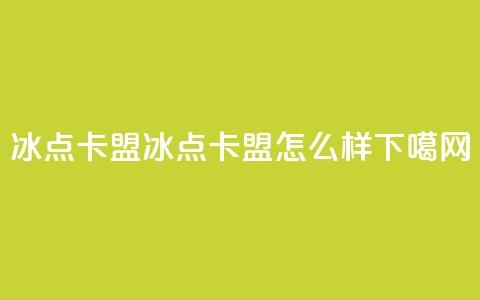 冰点卡盟 - 冰点卡盟怎么样？~  第1张