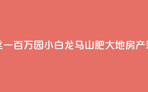快手粉丝一百万0.01园小白龙马山肥大地房产装修网站,快手点赞购买网站平台 - 抖音投放24小时好还是12小时 卡盟ks在线自助下单低价  第1张