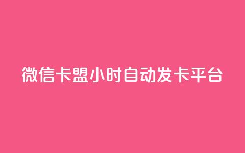 微信卡盟24小时自动发卡平台 - 最佳SEO实践：全天候自动发卡平台,微信卡盟买卡24小时服务~  第1张
