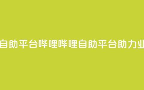 哔哩哔哩业务自助平台 - 哔哩哔哩自助平台助力业务拓展！  第1张