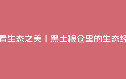 看生态之美丨黑土粮仓里的生态经  第1张