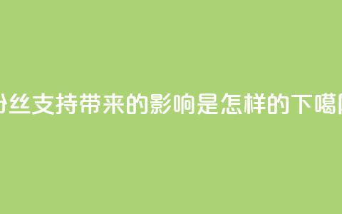 粉丝支持带来的影响是怎样的？  第1张