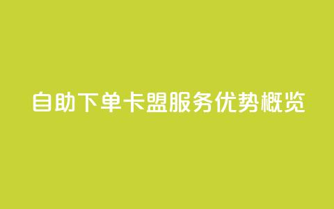 自助下单卡盟服务优势概览  第1张