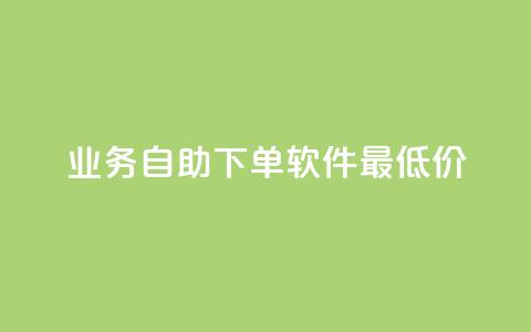 ks业务自助下单软件最低价,dy24小时在线下单 - ks业务推广 dy赞业务  第1张