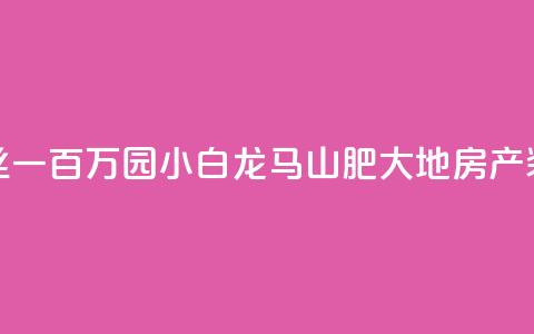 快手粉丝一百万0.01园小白龙马山肥大地房产装修网站,QQ红钻卡盟 - qq业务自助 子潇网络平台是合法吗  第1张