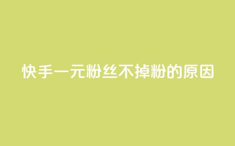快手一元1w粉丝不掉粉的原因,ks超低价自助腾族下单平台 - 卡盟进货渠道 QQ刷钻卡盟免费  第1张