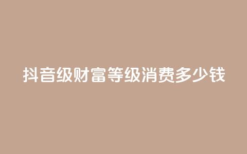 抖音24级财富等级消费多少钱,快手低价业务自助平台软件 - 刷大众点评访客软件 抖音如何刷1000贡献用户  第1张