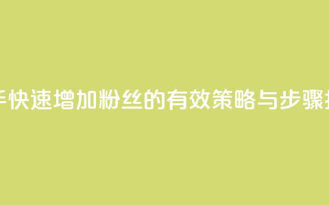 快手快速增加粉丝的有效策略与步骤指南  第1张
