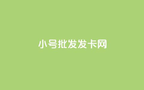 vx小号批发发卡网 - VX小号批发与发卡网的一站式解决方案!  第1张