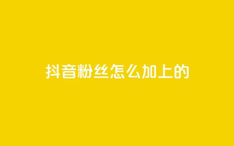 抖音粉丝怎么加上的 - 如何提升抖音粉丝量~  第1张