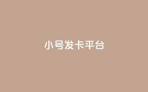 ks小号发卡平台 - ks小号发卡平台全新体验 助力账号安全与成长!  第1张