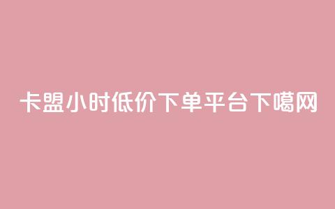 卡盟24小时低价下单平台  第1张
