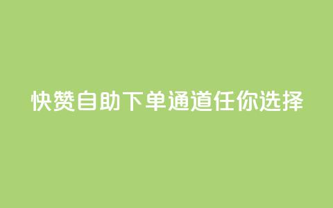 快赞自助下单通道任你选择  第1张